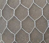 Hexagonal Wire Mesh
