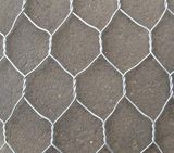 Hexagonal Wire Mesh