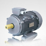 Three Phase Induction Electric Motor (Y160M-4)