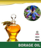 2014 Hot Sale Pure Organic Borage Oil