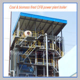Biomass Fired Power Plant CFB Boiler (EP50T/H 6 MPA)