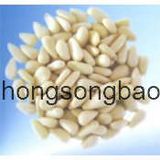 Pine Nut Kernels (023)