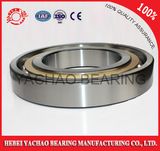 Angular Contact Ball Bearings (7317c, 7317AC, 7317b)