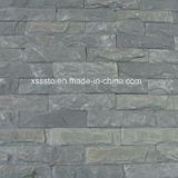 Grey Mushroom Culture Slate for Wall Covering