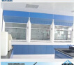 Professional High Level Technology Fume Hood in Chemistry Laboratory