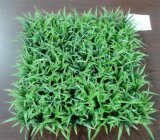 Artificial Plants and Flowers of Artificial Grass Hs-Grass4-1