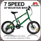 20 Inch Bamboo Alloy Mountain Bicycle (KB-M2002)