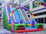 2015 Hot Sell Amusement Park Inflatable Double Slide Price