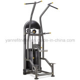 Assisted DIP / Chinning Gym Equipment / Fitness Equipment with 20 Year Experiences