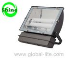 Induction Lighting Flood Light Fl-3105