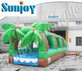Inflatable Slip and Slide