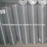 Hot Dipped Galvanized Welded Wire Mesh