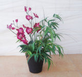 Artificial Orchid Flowers Potted