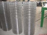 Welded Wire Mesh