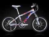 Bicycle (KSBL1070) 82