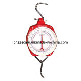 25kg Mechanical Hanging Scale (ZZG-102)