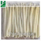 Frozen White Asparagus