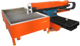 Metal Laser Cutting Machine (QL-YAG500)