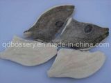 Frozen John Dory