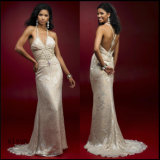 Prom Dress / Fashion Dress (EV-254)