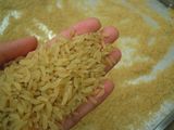 Instant Rice Nutritional Rice Food Processing Line