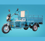 Cargo Tricycle (SP125-P12)