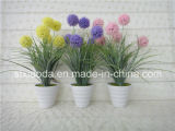 Artificial Plastic Potted Flower (XD15-331)