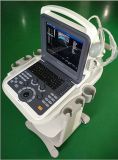 Trolley for Ultrasound Scanners