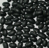 2015 Organic Higher Quality Samll Black Bean