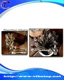 Different Style Flatware Shell Spoon