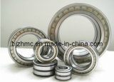 SKF Cylindrical Roller Bearings Nu203