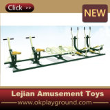 Many Kinds Outdoor Fitness Equipment (12171B)