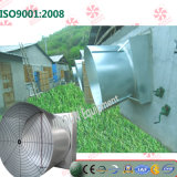 Axial Flow Type Ventilation Cooling Exhaust Fan for Swinehouse