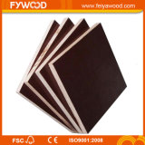 20 Years Production Experience for Film Faced Plywood