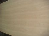 Ash Fancy Plywood in Natural Veneer with Good Quality