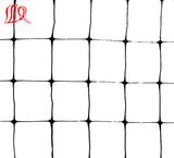 Transparent Extruded Plastic Netting/HDPE Anti Bird Net