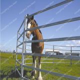 Hot Dipped Galvanized Used Livestock Panels