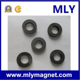 Round/Ring Rare Earth Ferrite Magnet (M021)
