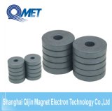 Y30 Various Specification Strong Sintered Ferrite Magnet