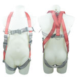 Safety Harness - 2 D Ring, Model#DHQS075