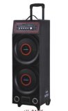 Professional Rechargeable Speaker-Ailiang-USBFM-AH210K
