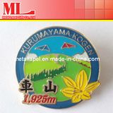 Soft Enamel with Epoxy Dome Lapel Pin (ML-T061614-01)