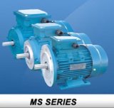 Ms Electric Motor 3 Phase 220/380V