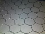 Hexagonal Wire Mesh