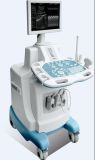 Diagnostic Ultrasound/Full Digital Trolley Ultrasound Scanner (XK21353plus) /Diagnosis Equipment