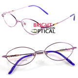 Woman's Full Rim Purple Fashion Optical Eyewear Frames (9158)