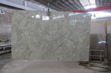 Andromeda White Sri Lanka White Granite for Airport Construction