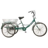 Cargo Bike (WT-CARGO-06)