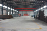 Prefab Light Structure Warehouse Steel Construction Buildings (LTL416)