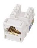 Keystone Jack (SMB-KJ-C5E-044)